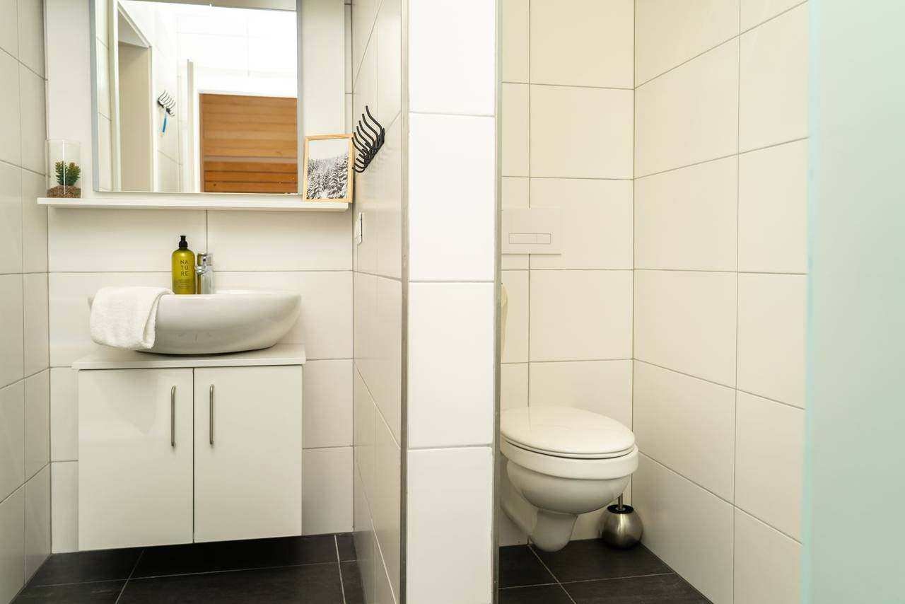 Bathroom with washbasin and WC – Almzeit chalet apartment, Turracher Höhe