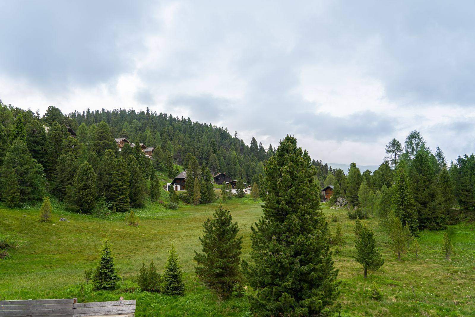 Ausblick vom Chalet-Apartment Almzeit auf Zirbenwald und Almen der Turracher Höhe