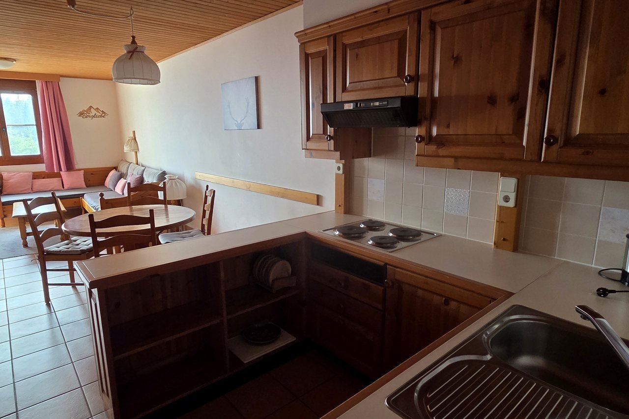 Open kitchen with dining area in the Alpenzeit apartment, Kanzelhöhe