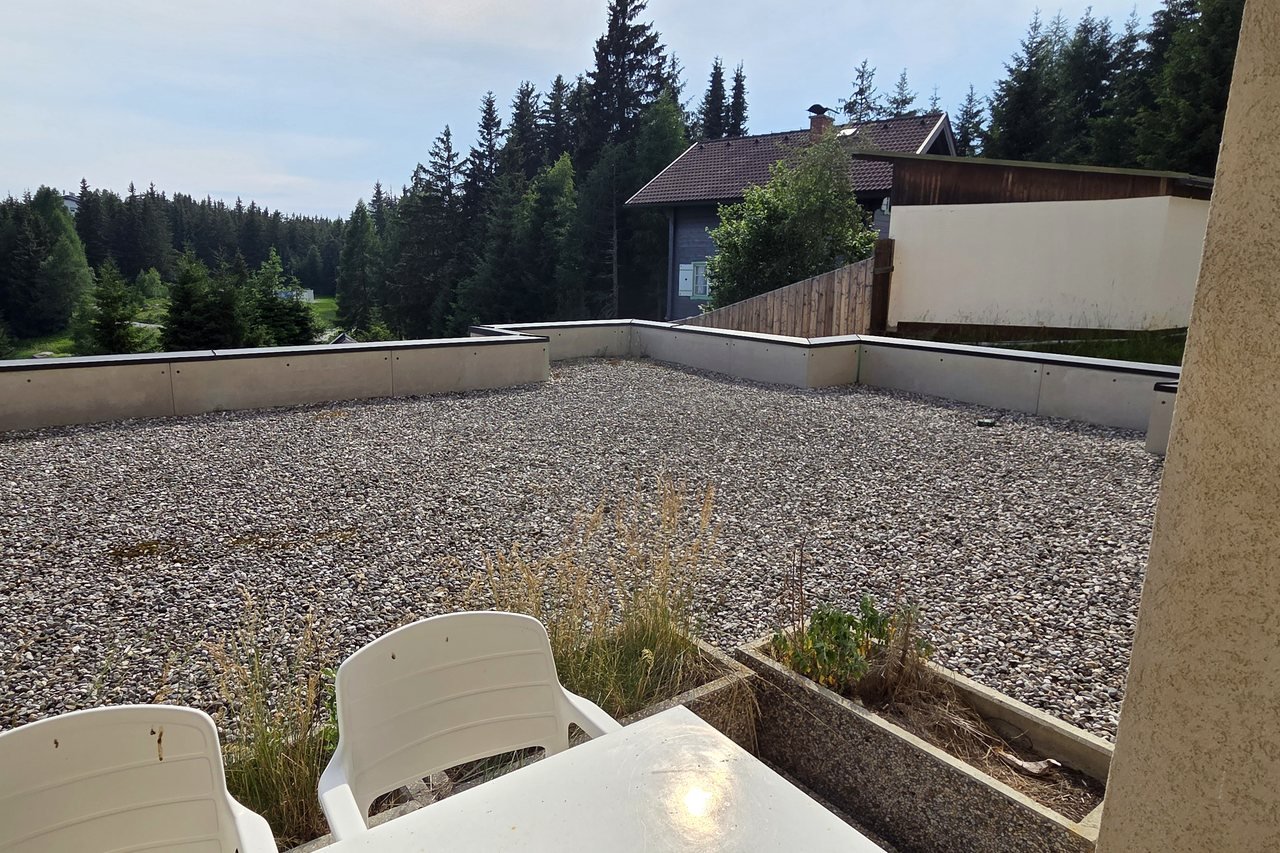 View from the terrace over the forest and Kanzelhöhe – Alpenzeit apartment