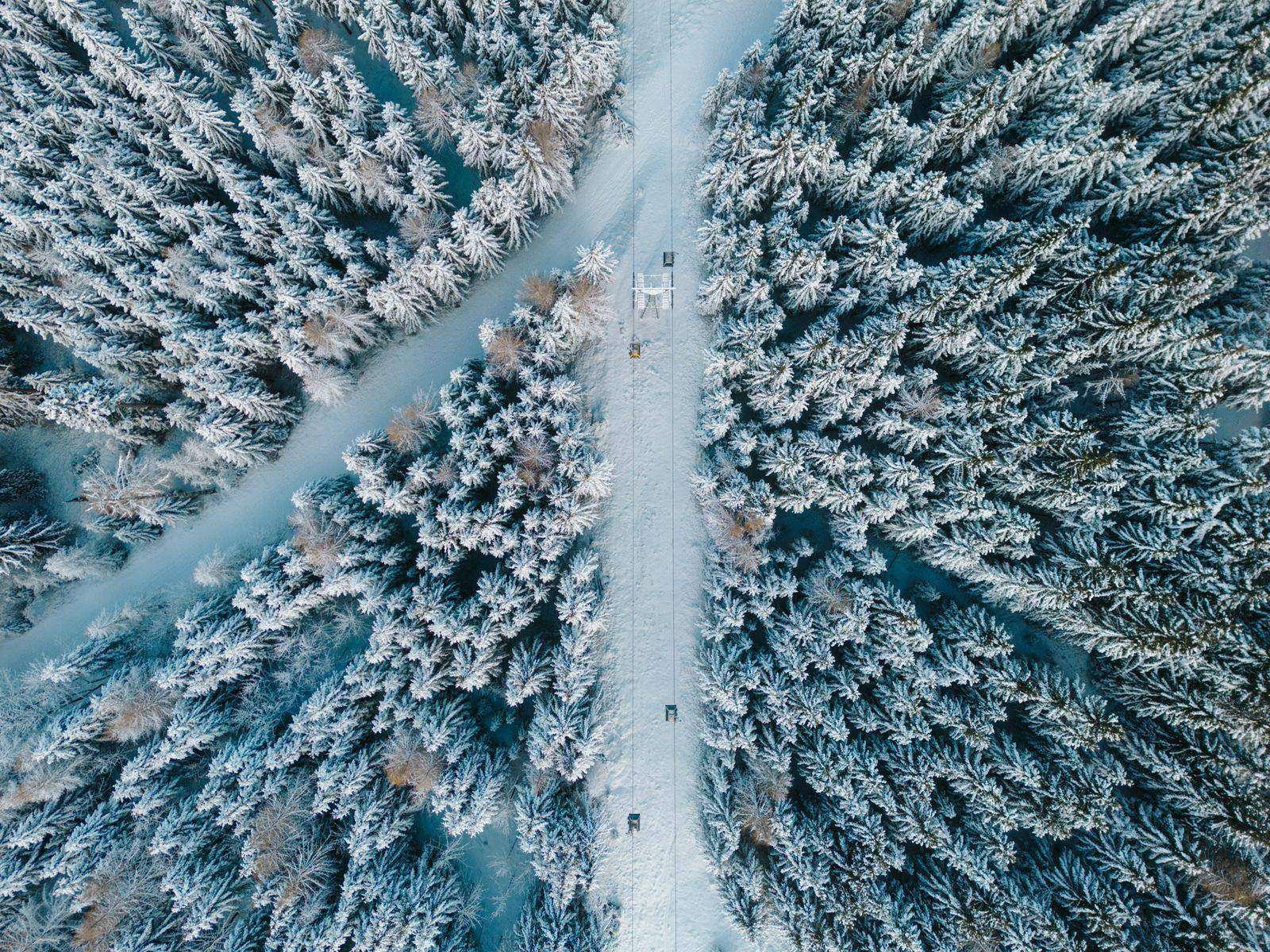 Snowy forest and winter path on the Gerlitzen Alpe – winter walks from the apartment