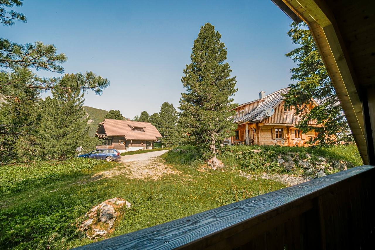 View from the balcony over alpine meadow and stone pines – Turracher Höhe