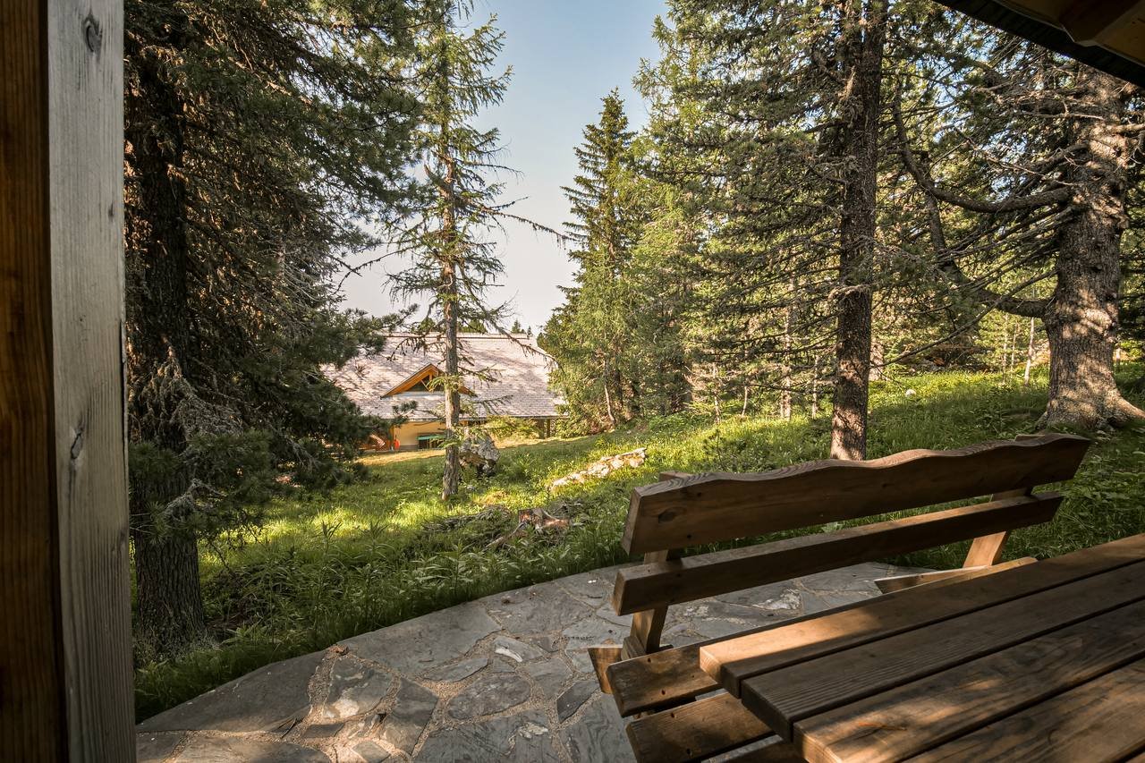 Garden bench overlooking the stone pine forest