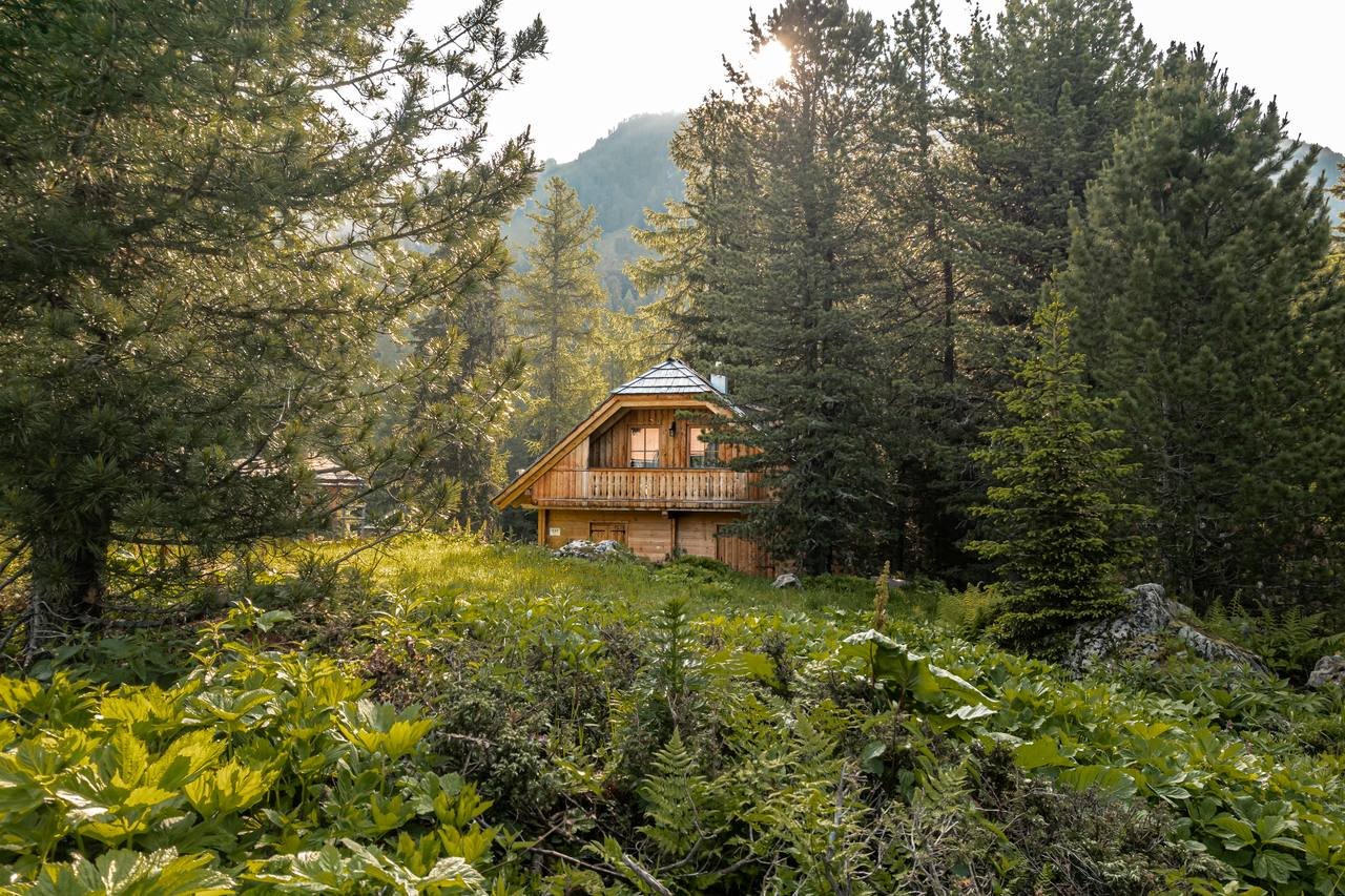 Secluded forest setting – Chalet Murmeltier at 1,763 m