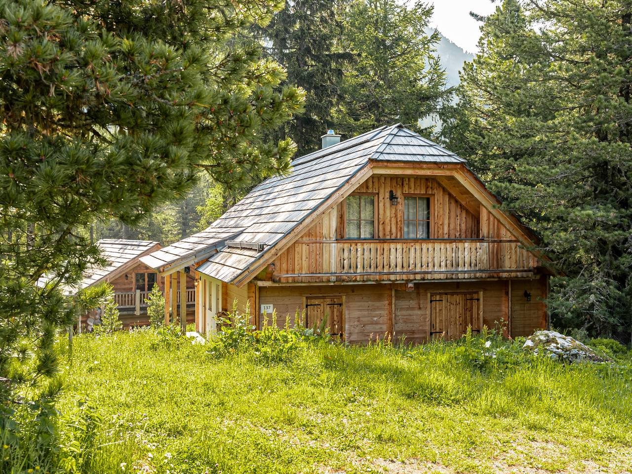 Chalet Murmeltier in summer – alpine meadow and stone pine forest